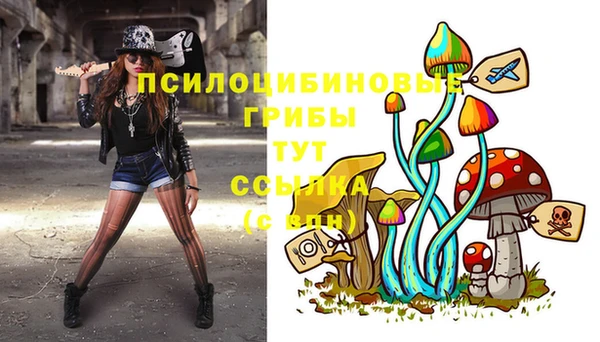 марки lsd Волосово