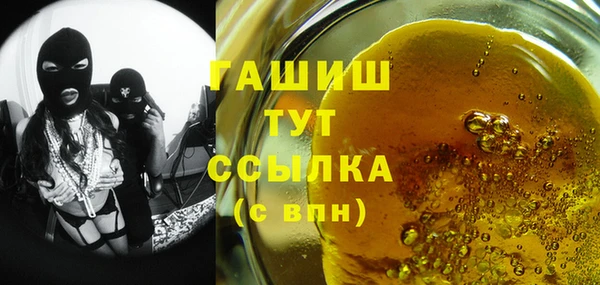 индика Володарск