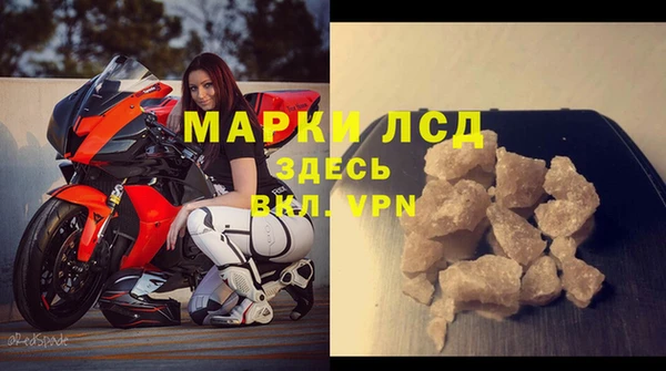 индика Володарск