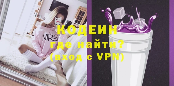 индика Володарск