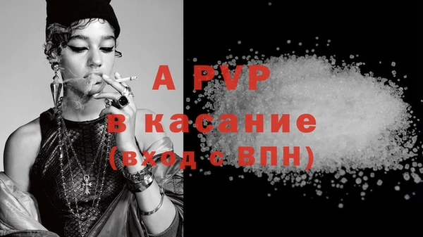 индика Володарск