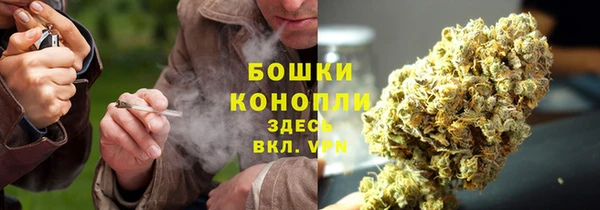 индика Володарск